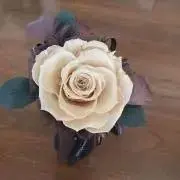 はなみずき