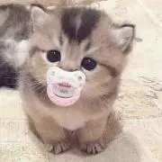 ナギ