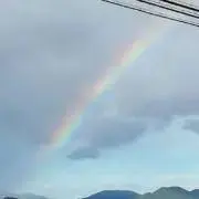 ZEROCCの画像