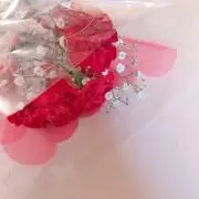 nana★の画像