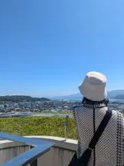 きゅうりの画像