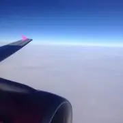 seaの画像