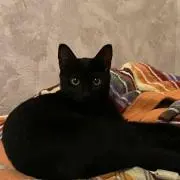 たかぷー