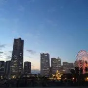 Yayaの画像