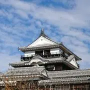 Nisseの画像