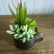 ❀ユタ❀おまとめ割◎即購入OKの画像