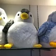 kaの画像