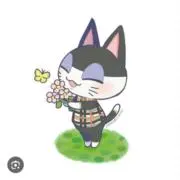 くみちょっぷの画像