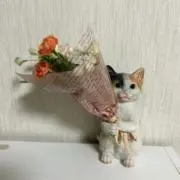 みーちやんの画像