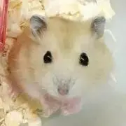 ハル~プロフ必読‼️の画像