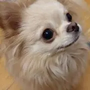 naokanaの画像