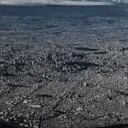 Moriの画像