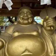 Mocaの画像