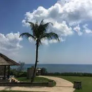 BLUELIFEの画像