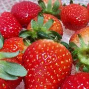 strawberryの画像