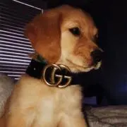 tia