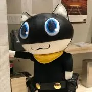ttの画像
