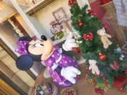 ぼん❣️基本即購入‪‪✕‬❣️の画像