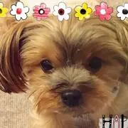 ちゃこ(プロフィール必読)の画像