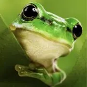 だい吉27の画像