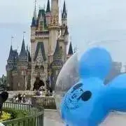 sの画像