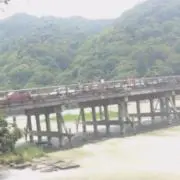 はなの画像