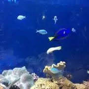 断捨離セール中❗️AYAの画像