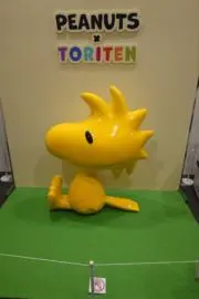 めめたんの画像