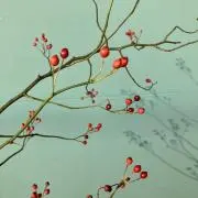 ecchiの画像