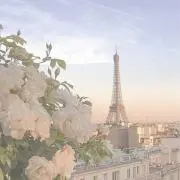 Rの画像