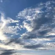 こまこの画像