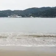 海