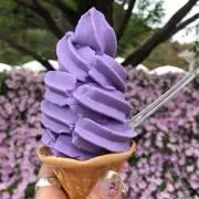みみこ