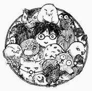 ぴんふの画像