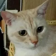 くーちゃん
