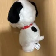 momoの画像