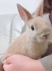 たーちゃんの画像