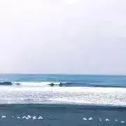 Nanaの画像
