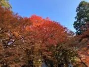 ハウ　※プロフ必読!!の画像