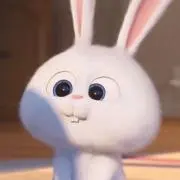 ももの画像