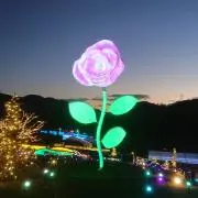 chii☆の画像