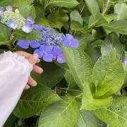 m.o.の画像