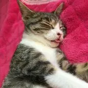 ちーさん