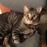 くぅたん