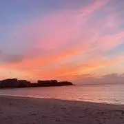 Mの画像