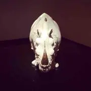 ジェイソンの画像