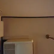 キイロの画像