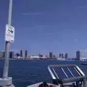 初夏の画像