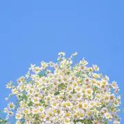 断捨離大売出しの画像