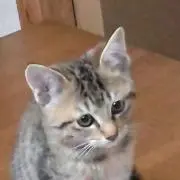 和世　(wase)　プロフ観てね♡の画像